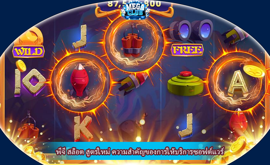 พีจี สล็อต สูตรใหม่ ความสำคัญของการให้บริการซอฟต์แวร์